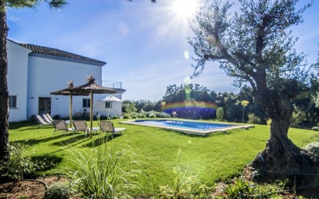 The house is surrounded by flower beds 